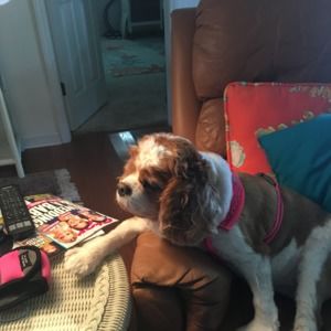 Meet your Posher, Murilynne m